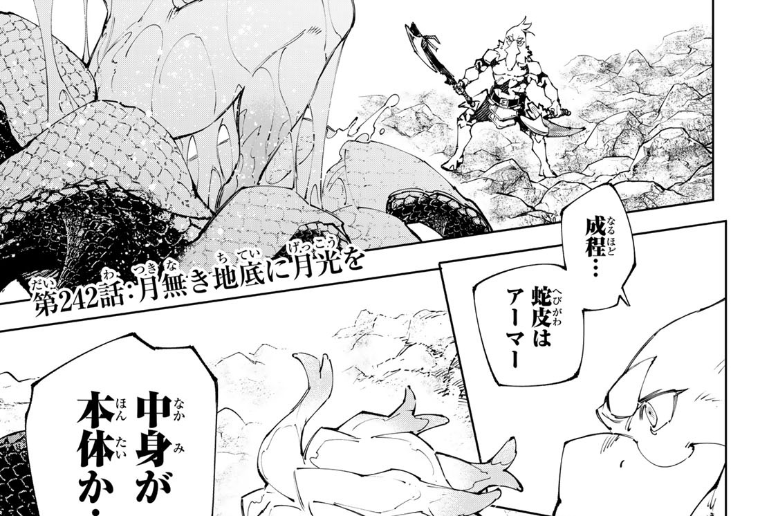 第２４２話　月無き地底に月光を