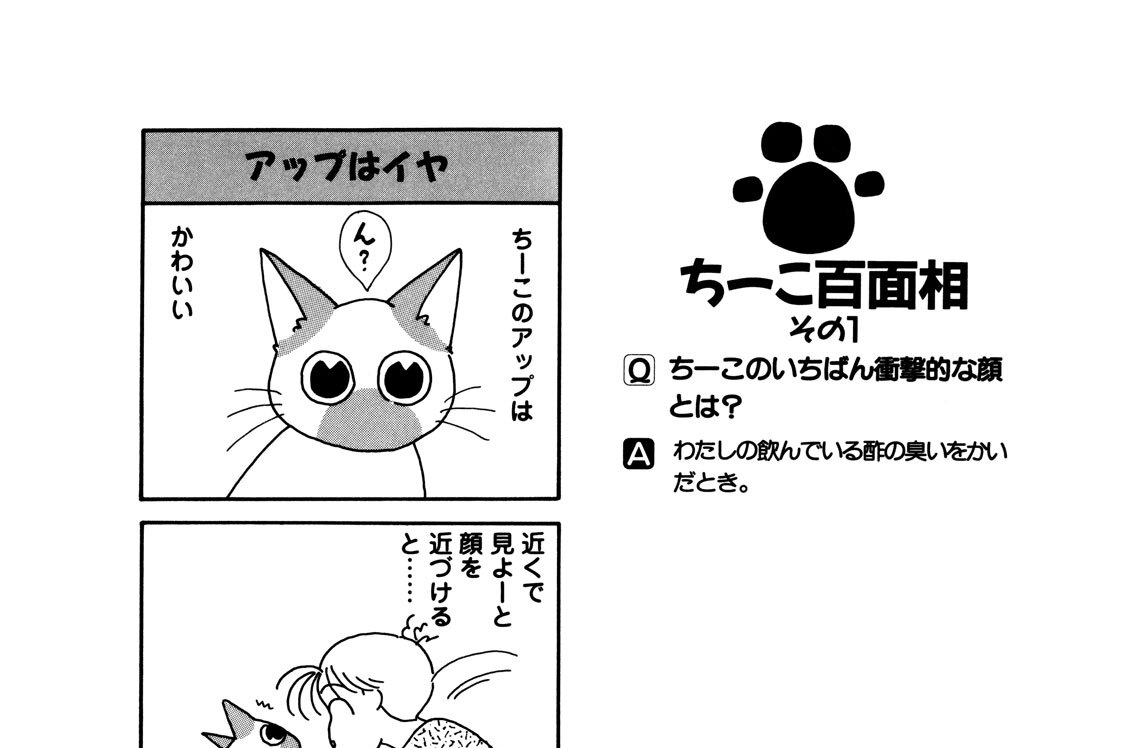 ちーこ百面相　その１