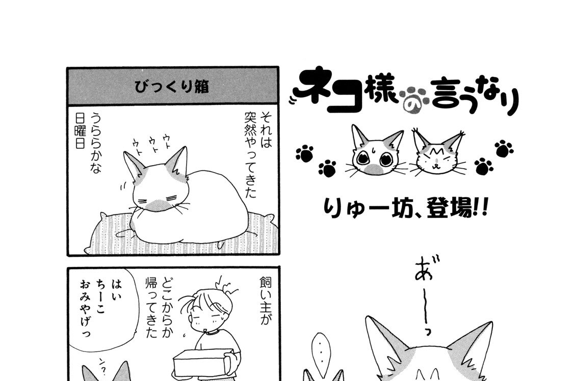 ネコ様の言うなり - 野中のばら / ネコ様の言うなり | コミックDAYS
