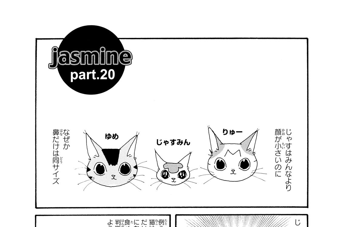 ｐａｒｔ．２０（２０１０年ねこころ６月号）