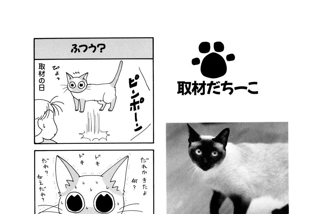 取材だ，ちーこ