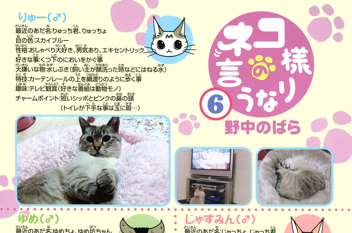 ネコ様の言うなり