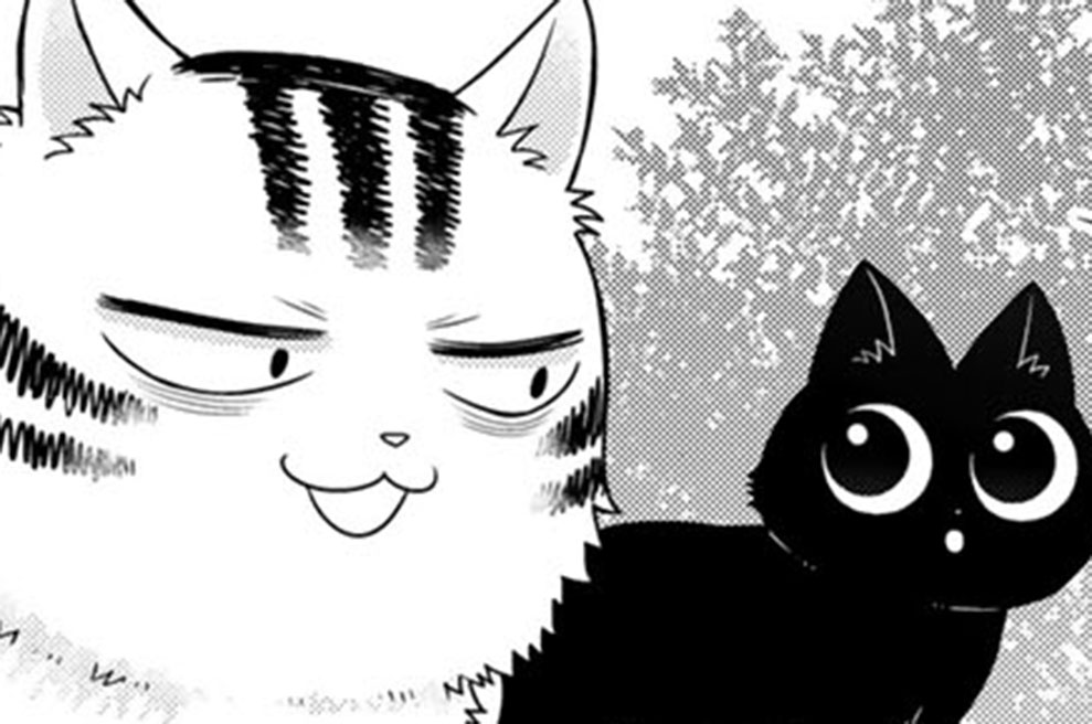 第３話　キョウヨウとクリームシチュー