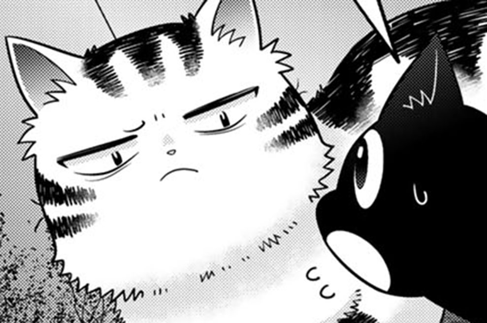 第１２話　期待と失望、そしてまた希望