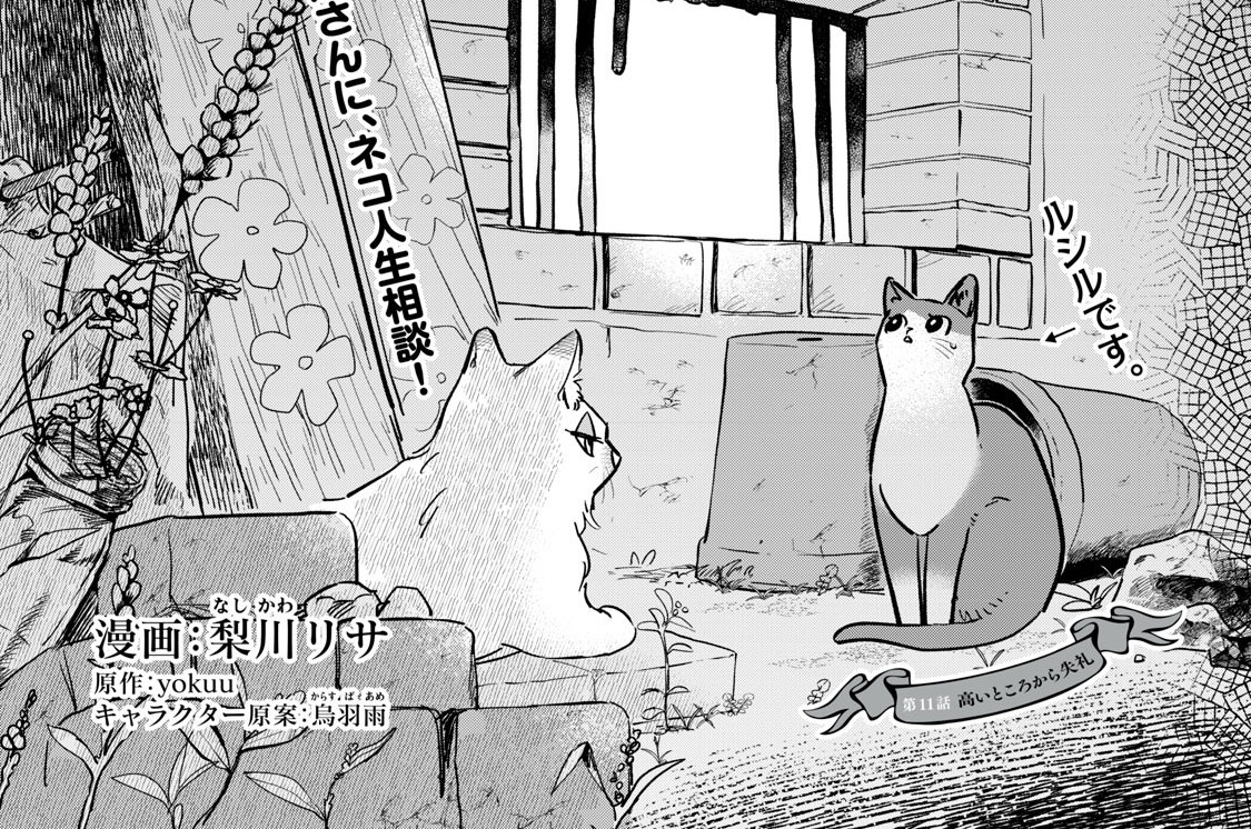 第１１話　高いところから失礼①