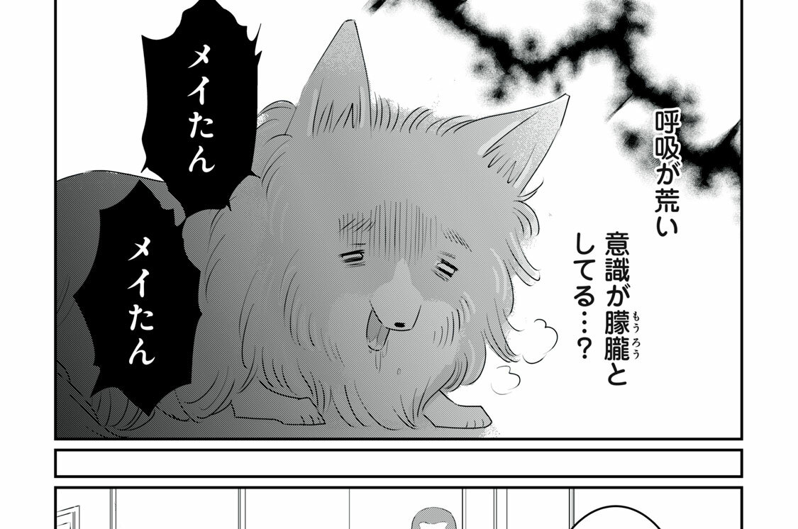 第1話-2　私の妹は64歳｜シェルティ(メス)