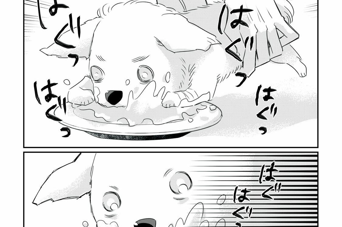 第2話-3　私の娘は87歳｜トイプードル(メス)