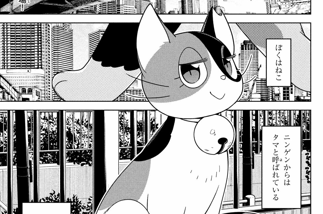 【#ex】ねことエルフ