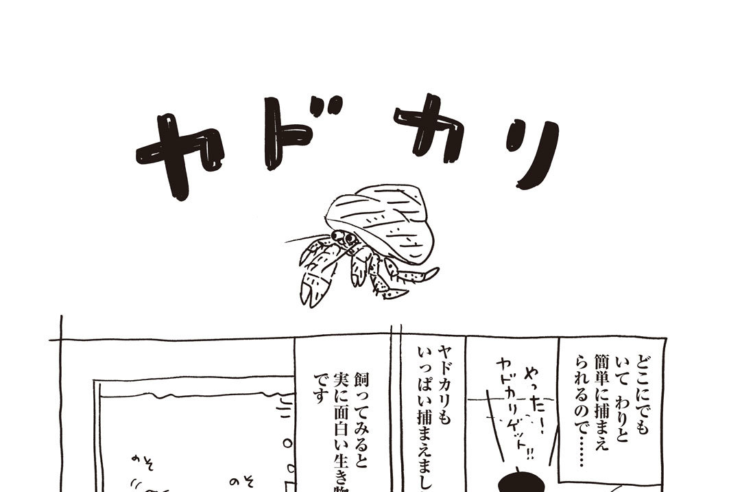 ほぼ０円ペット そにしけんじ ヤドカリ コミックdays