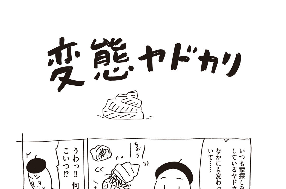 ほぼ０円ペット そにしけんじ 変態ヤドカリ コミックdays