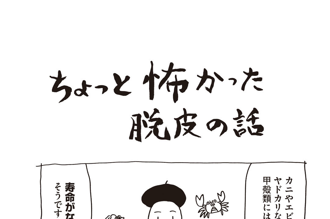 ちょっと怖かった脱皮の話