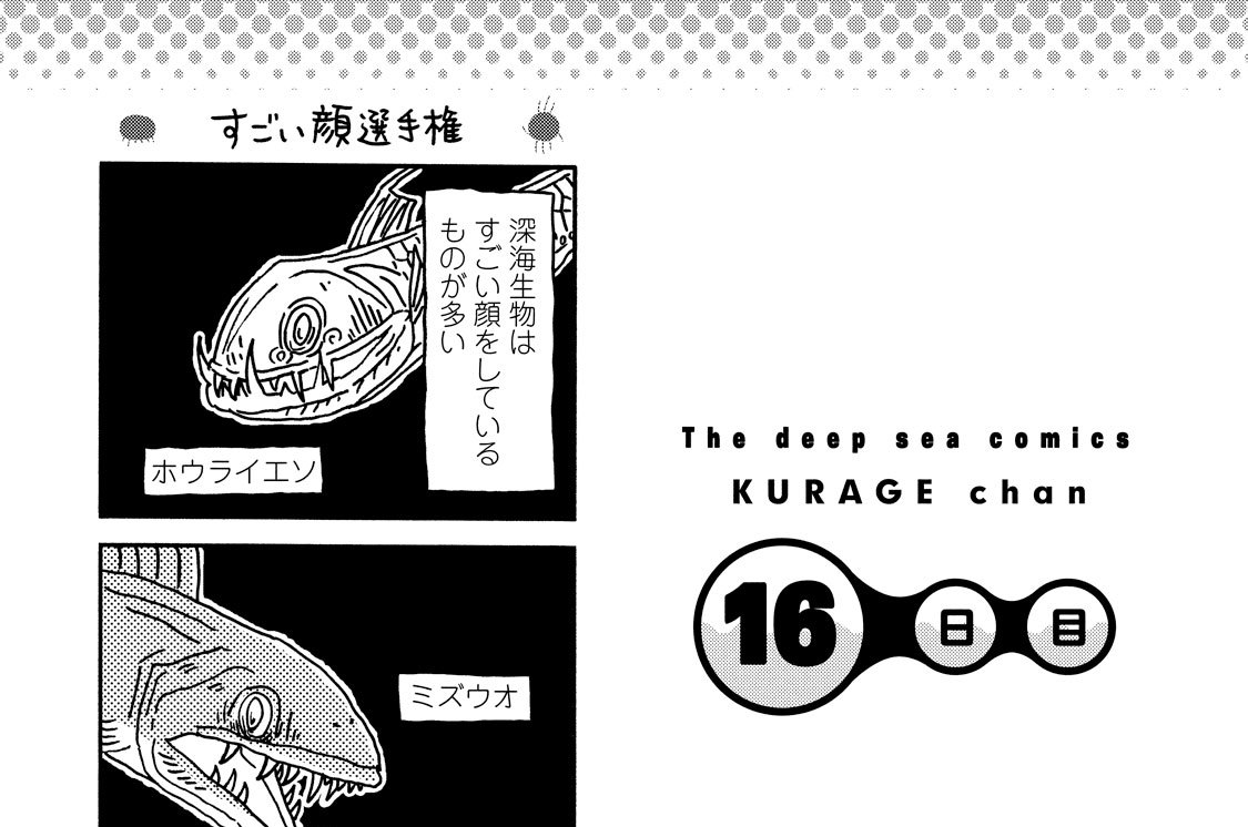 １６日目