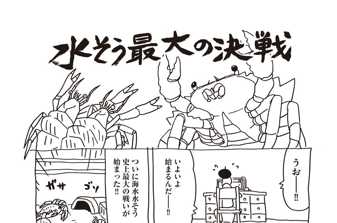 水そう最大の決戦