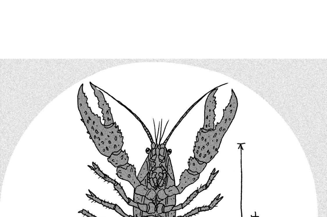 ＃１０　課長の裏側