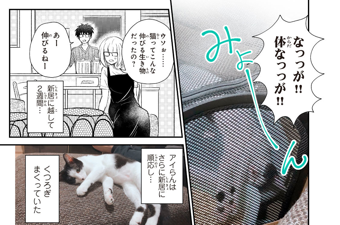 第９話　「ダイエッター・アイらん」