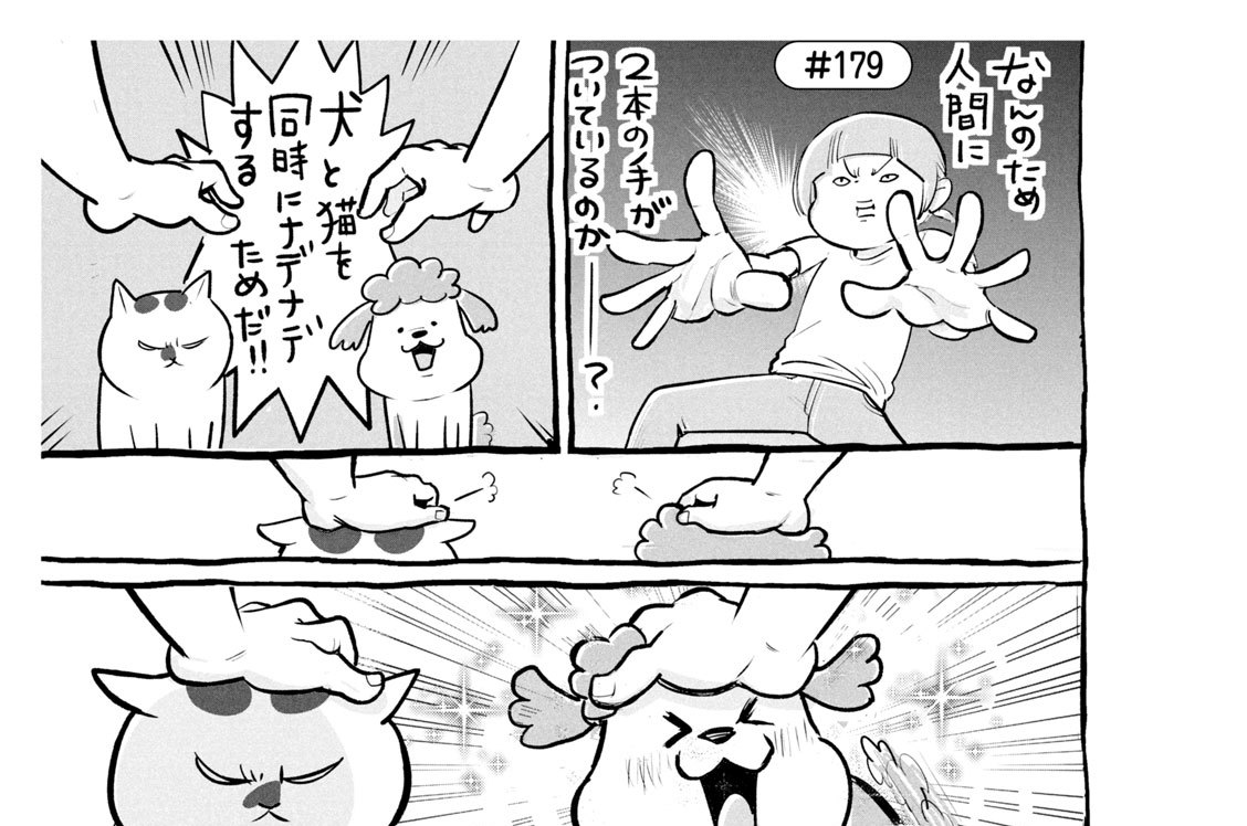 ＃１７９　犬と猫どっちも飼ってると、愛あふれて毎日たのしい