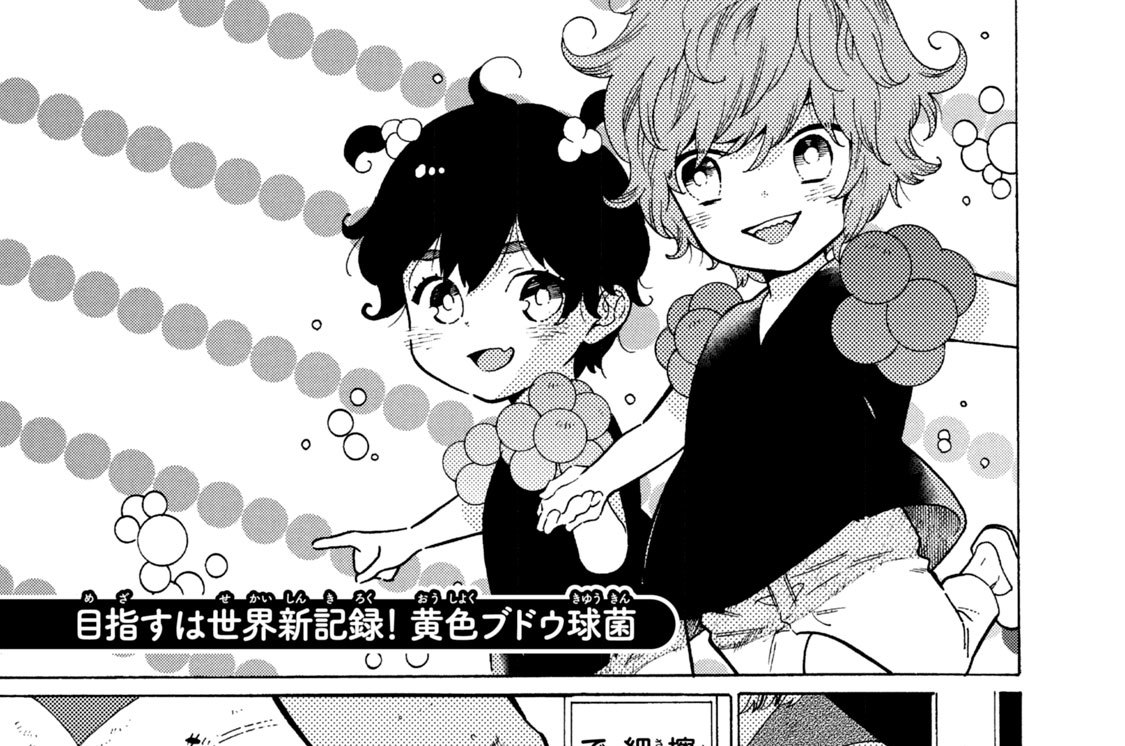 目指すは世界新記録！ 黄色ブドウ球菌