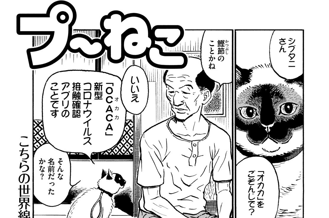 プ ねこ 第２０５回 Comicy コミシー