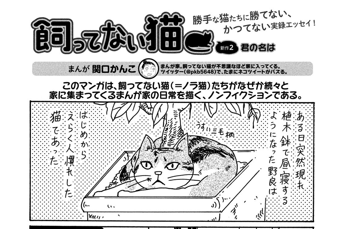 新作２　君の名は