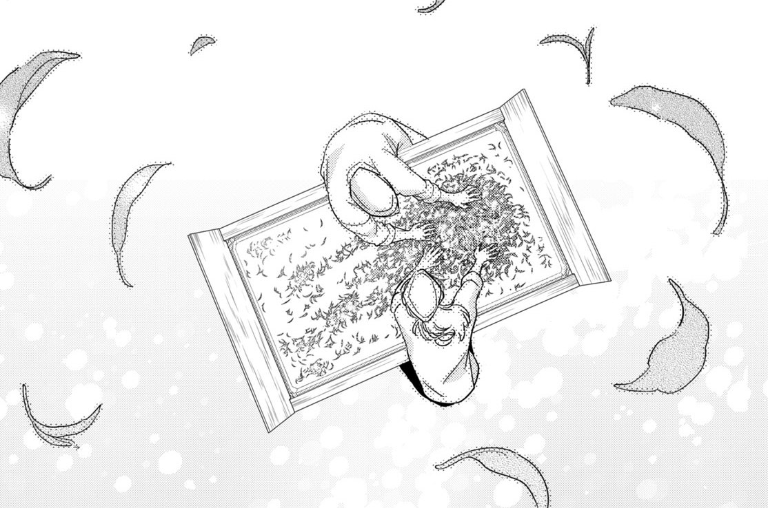 十六服目 嘘の終わり（３）