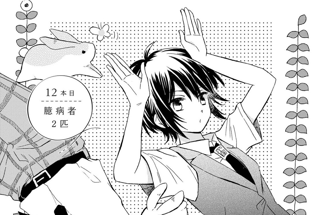 12本目 臆病者2匹(1)