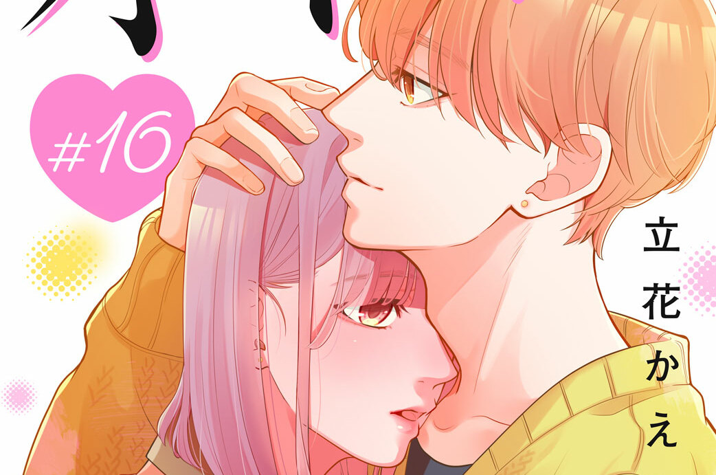 お義姉ちゃんはオトシごろ 分冊版（１６）