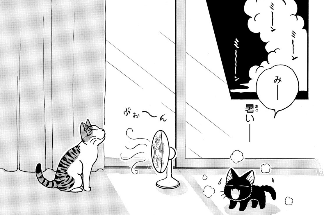 第１０３話　猫の避暑地