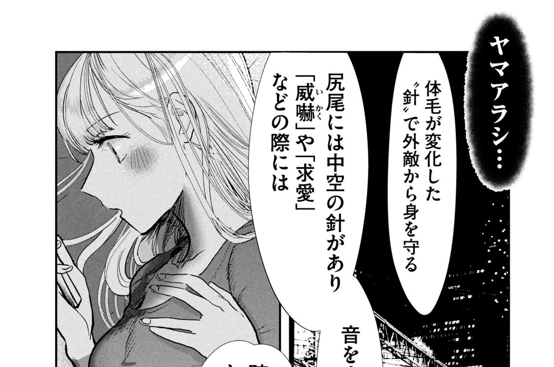 第９話　ヤマアラシ（１）