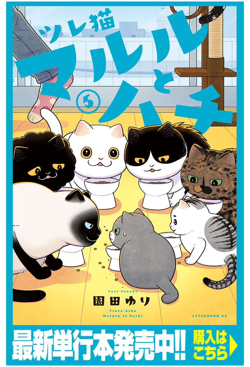 マルル様☆確認用 がっつく