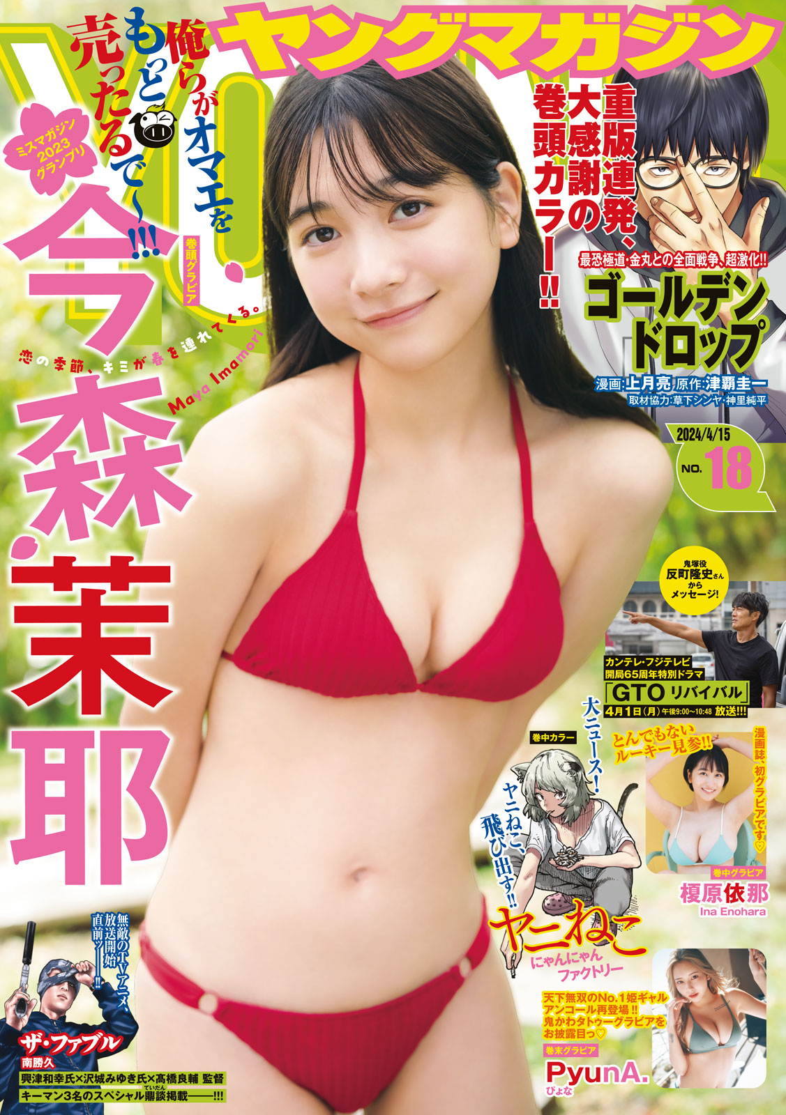 ヤングマガジン ２０２４年１８号