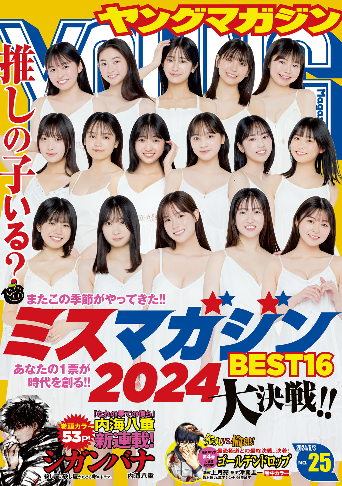 ヤングマガジン ２０２４年２５号