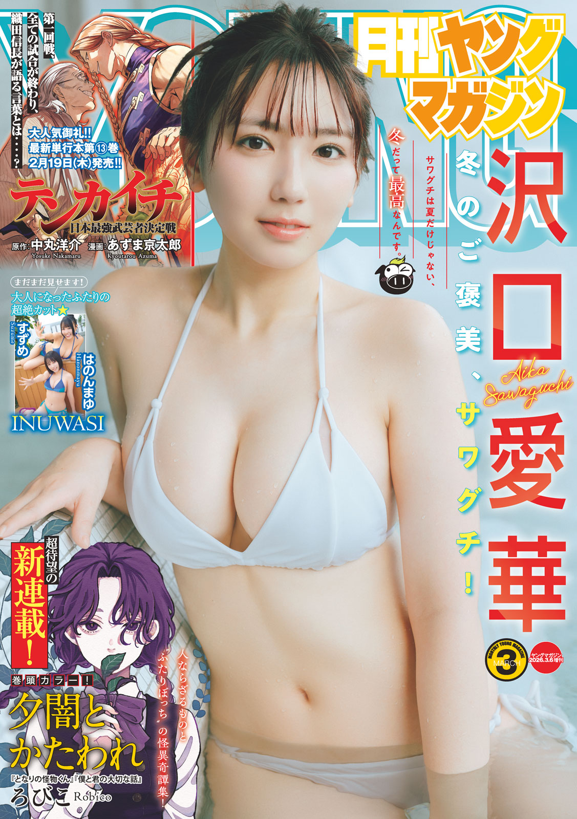 月刊ヤングマガジン ２０２６年Ｎｏ．３