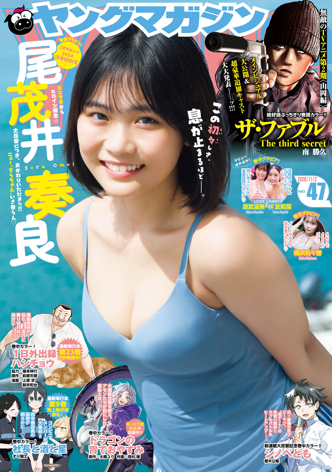 ヤングマガジン ２０２６年４７号