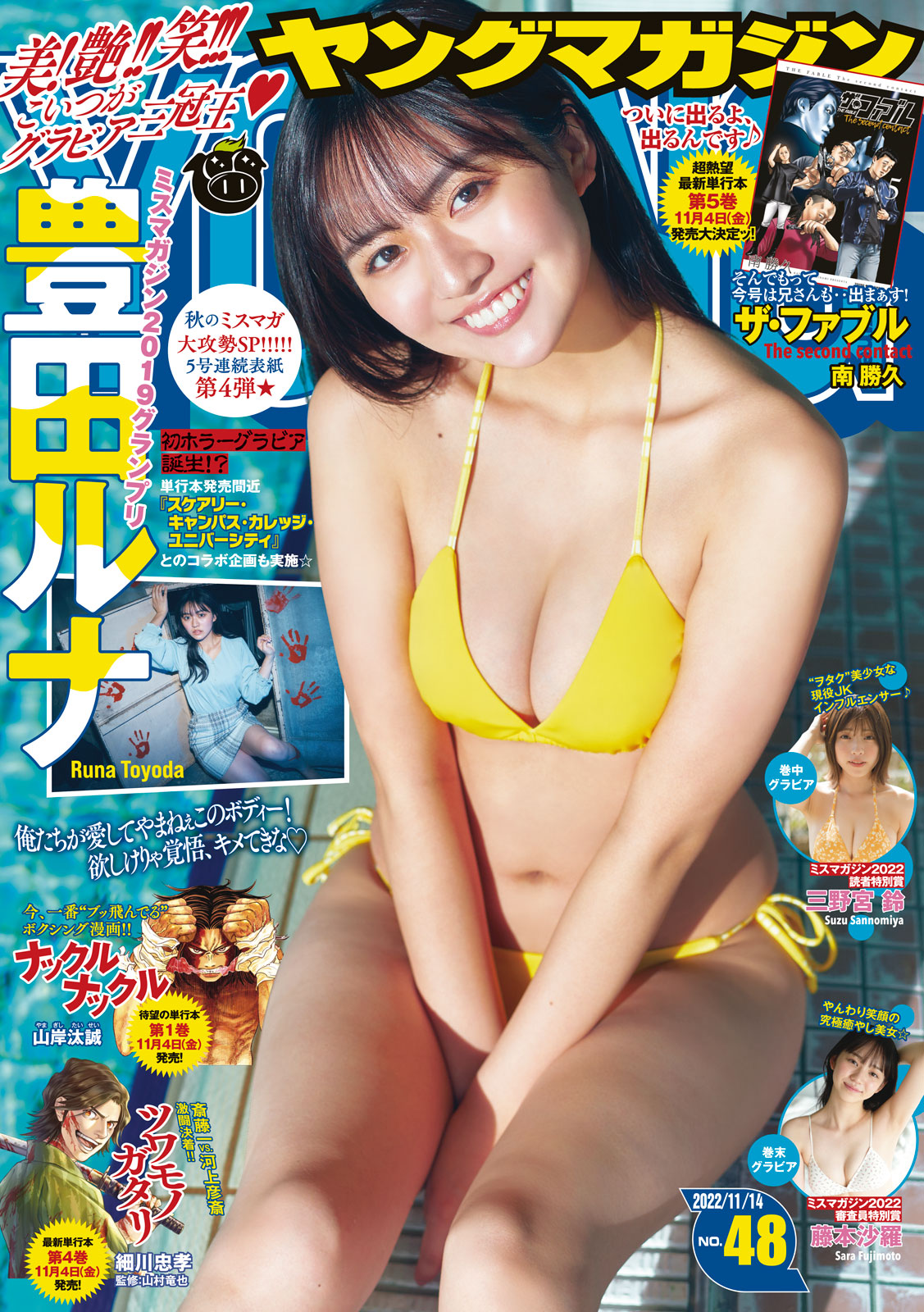 ヤングマガジン ２０２２年４８号