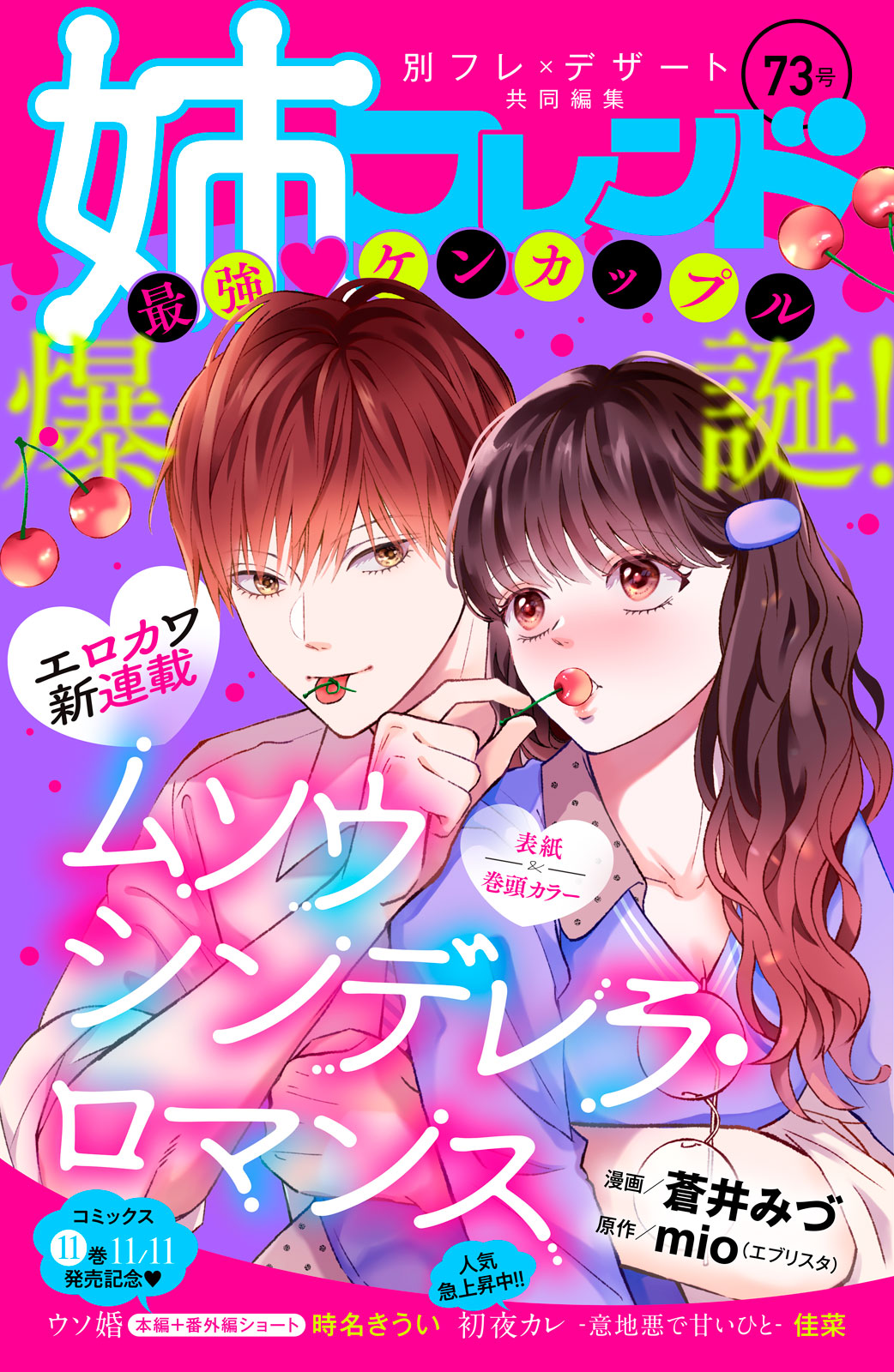 姉フレンド ７３号