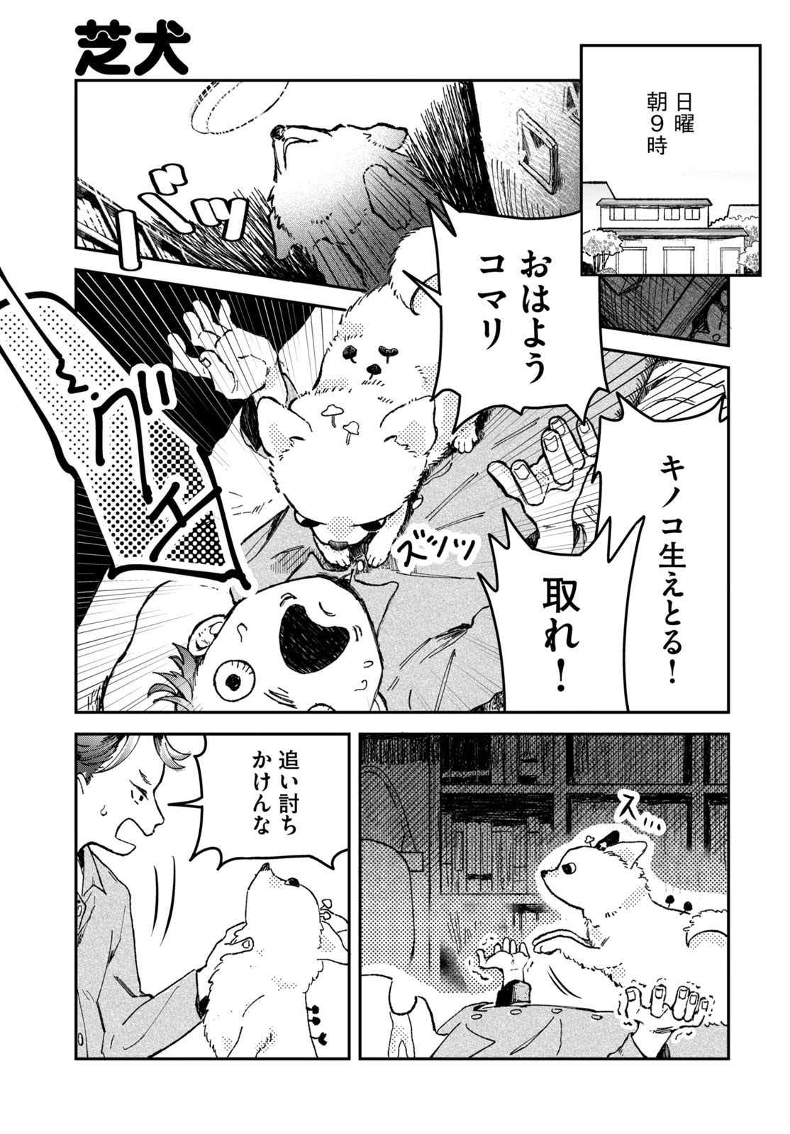 真矢ミキの黒アワビ コミックDAYS｜新人賞作品一覧