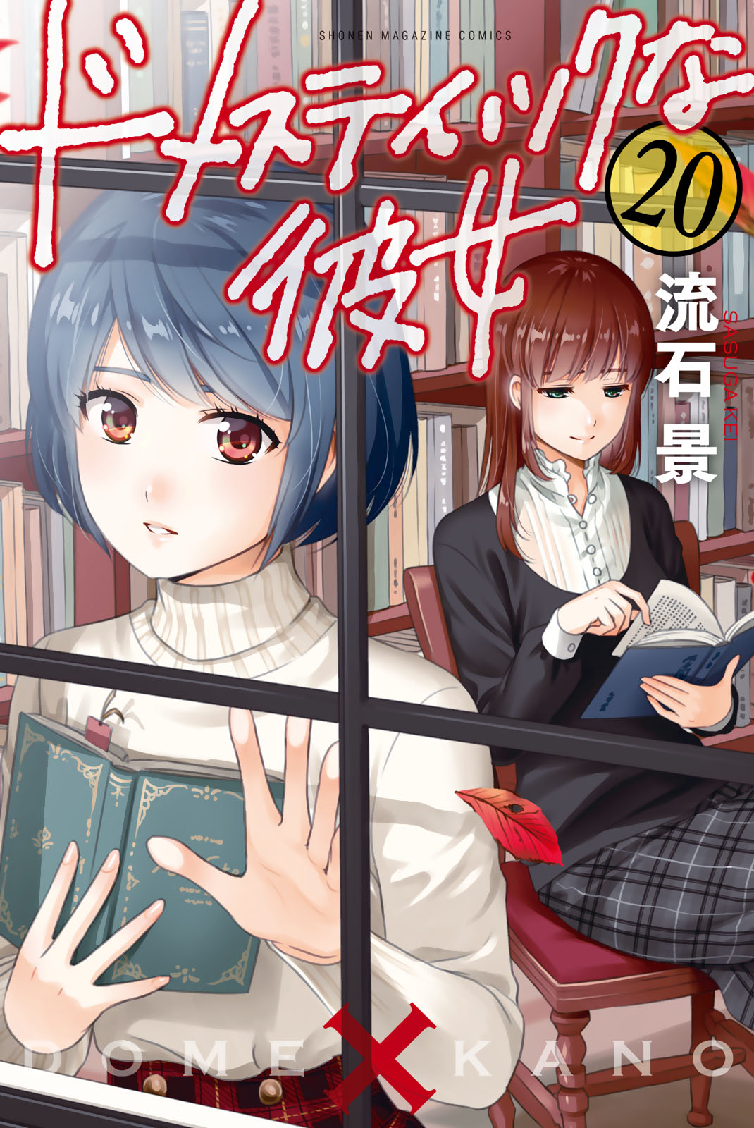 ドメスティックな彼女（２０）