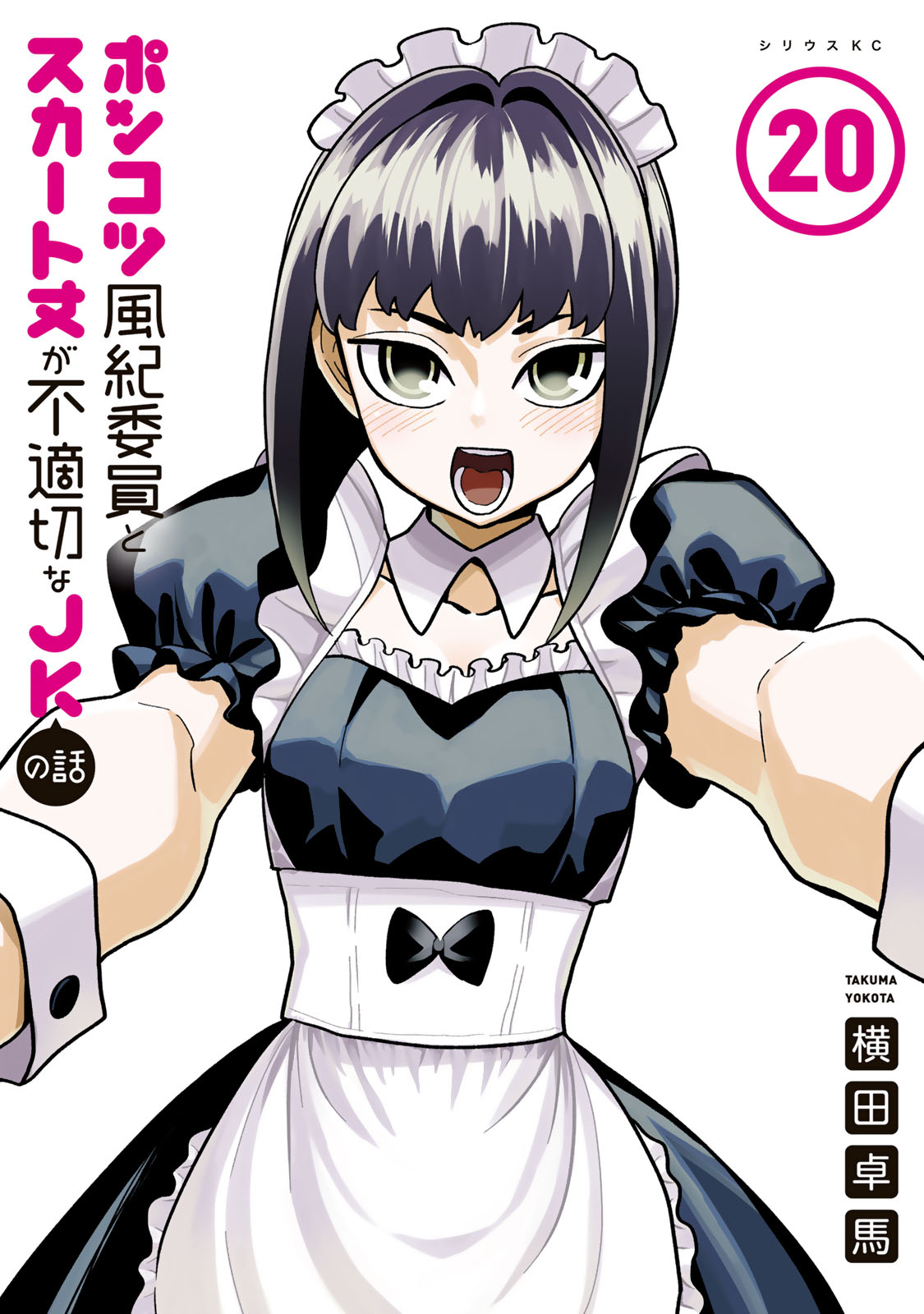 ポンコツ風紀委員とスカート丈が不適切なＪＫの話（２０）