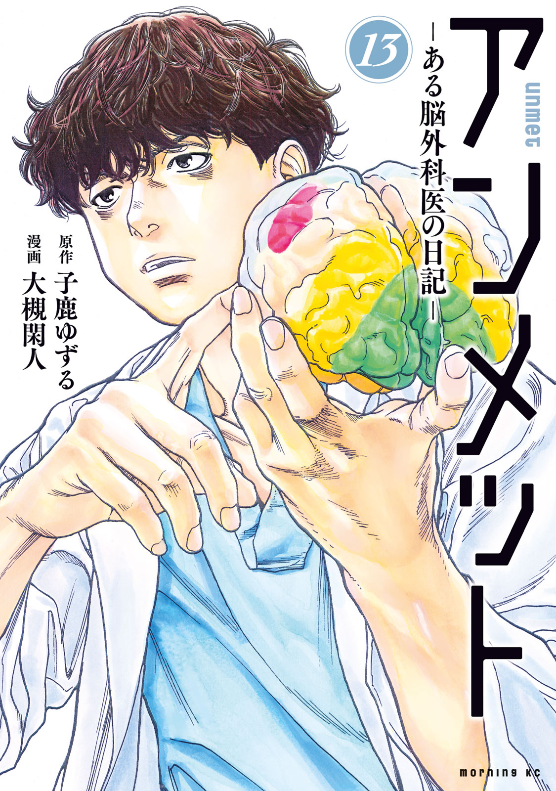 アンメット　ーある脳外科医の日記ー（１３）