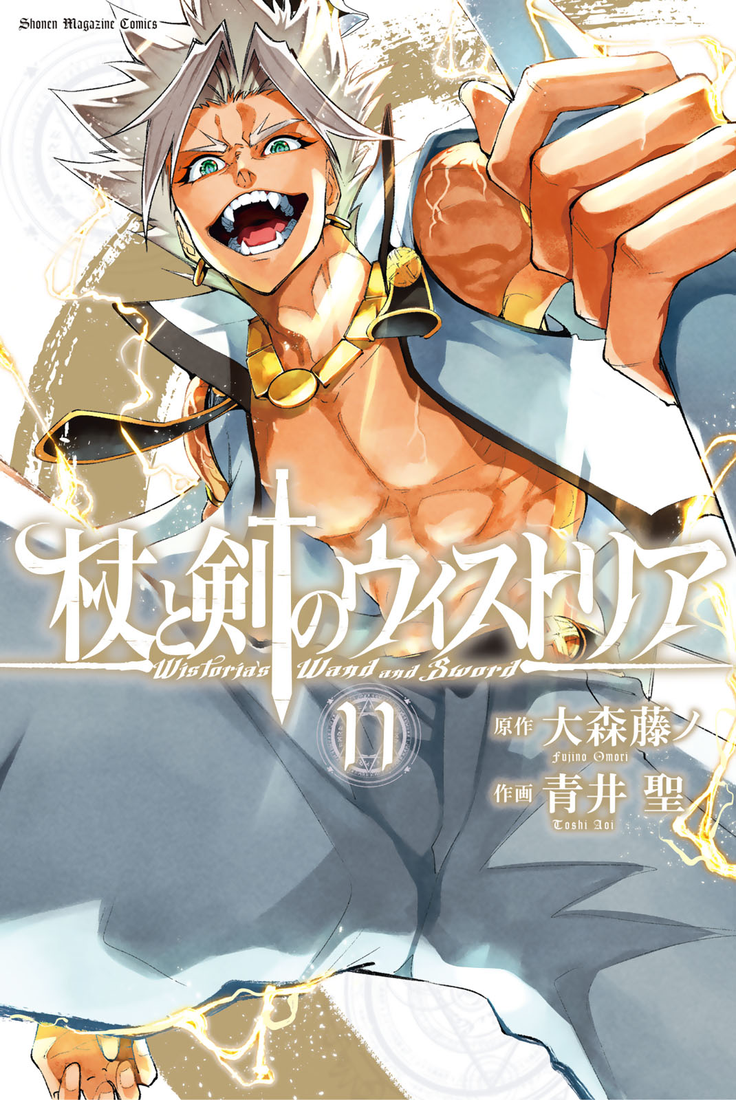 杖と剣のウィストリア（１１）