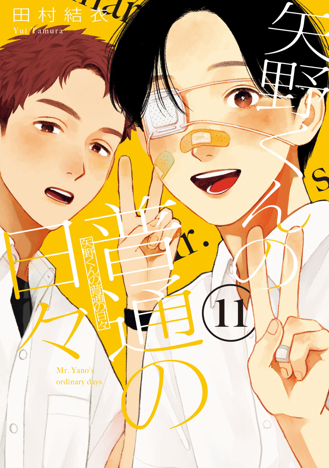 矢野くんの普通の日々（１１）